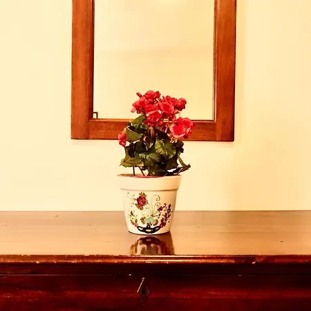 Montioni Apartment *