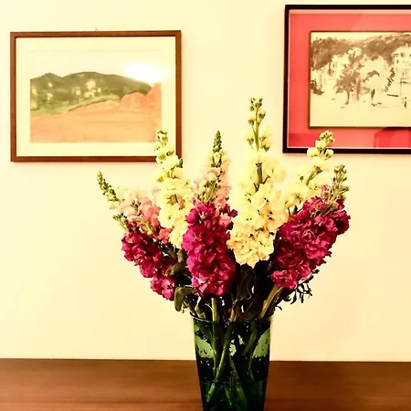 Montioni Apartment *