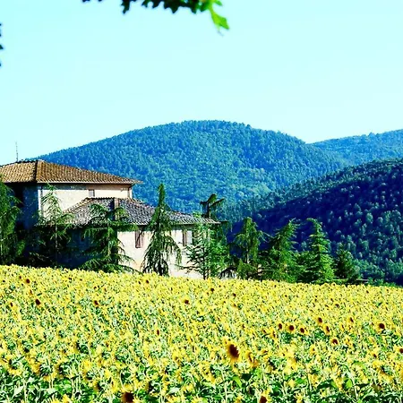 Montioni Apartment Sovicille