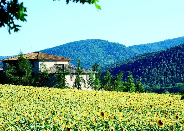 Montioni شقة سوفيتشيلي